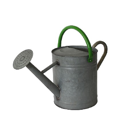 10L Galvanised Watering Can