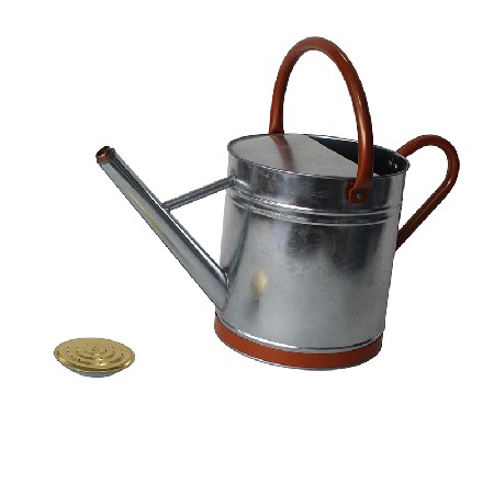 Metal Watering Can With Copper Decor