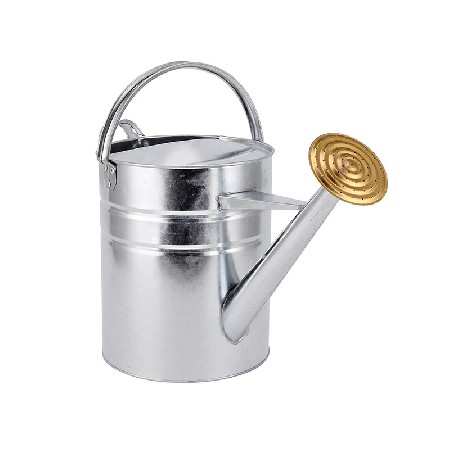 10 Litre Traditional Galvanised Watering Can